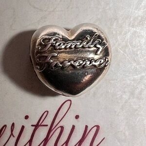 Authentic Pandora Family Union Clip #796204